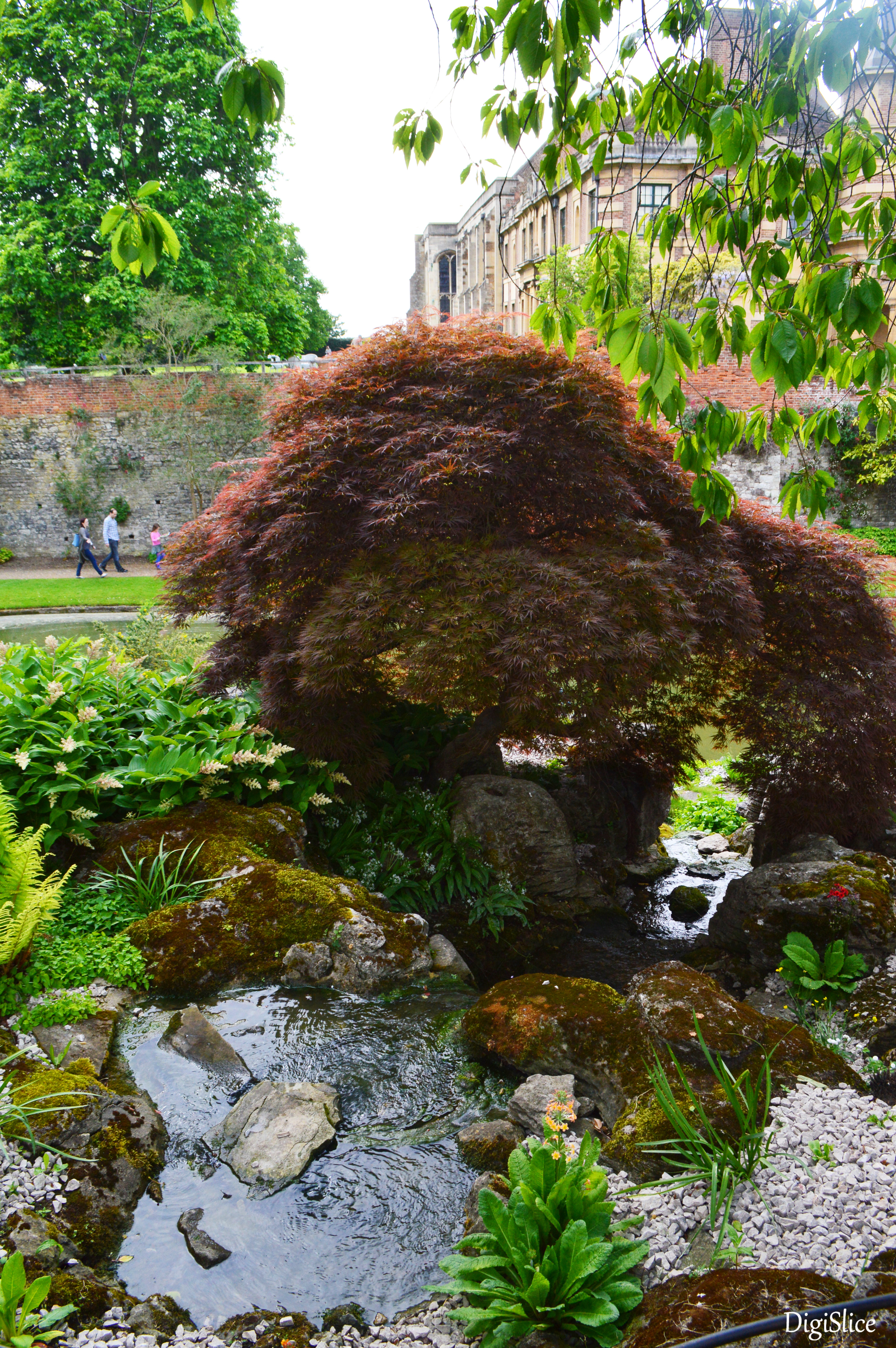 Rock Garden, Eltham Palace